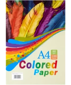 A4 Multicoloured Copy Paper 100 Sheets